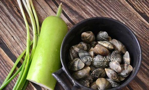 蒲瓜的搭配吃,开启味蕾新体验