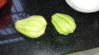 吃兔儿瓜好吗,探索兔儿瓜的营养价值与食用益处