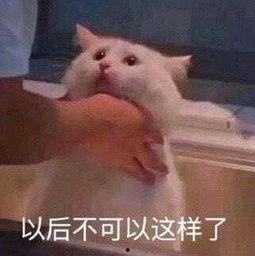 吃瓜群朝阳群众,网络时代的民间观察者