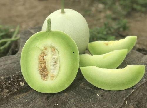 卖瓜的瓜甜不甜孩子吃,孩子品鉴生活滋味