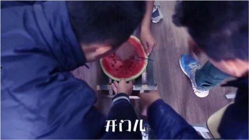 吃瓜段子剧情视频播放,剧情视频播放背后的爆笑段子揭秘