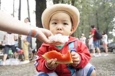 小玲儿吃瓜,揭秘瓜界那些事儿
