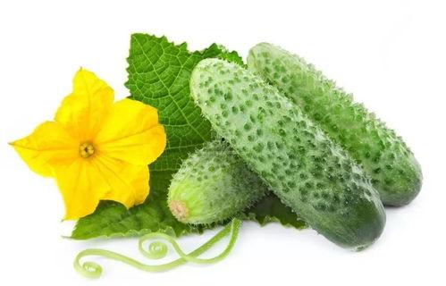 苏棠棠吃瓜系统,揭秘娱乐圈幕后风云