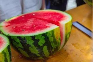 各个高校吃瓜,校园吃瓜大揭秘，一网打尽那些年我们一起“瓜”过的日子