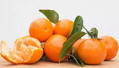 橘子哥的吃瓜 时光,揭秘娱乐圈幕后故事