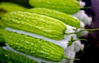 孕妇可以吃青叶瓜吗