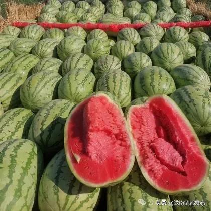 想买大瓜吃,一场明星隐私的狂欢盛宴