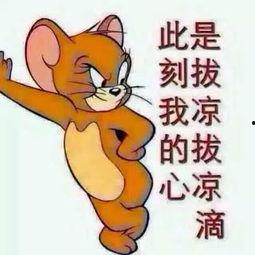 吃瓜群众配图片,吃瓜群众视角下的娱乐圈风云录