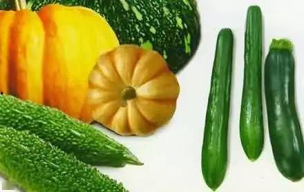 卖惨吃瓜,揭秘卖惨吃瓜背后的心酸故事