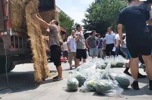 吃瓜学校雕像,揭秘校园里的神秘传说与历史故事