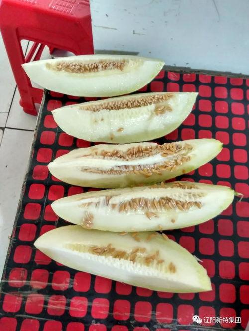 郓城园区吃瓜,清凉一夏，共享瓜香