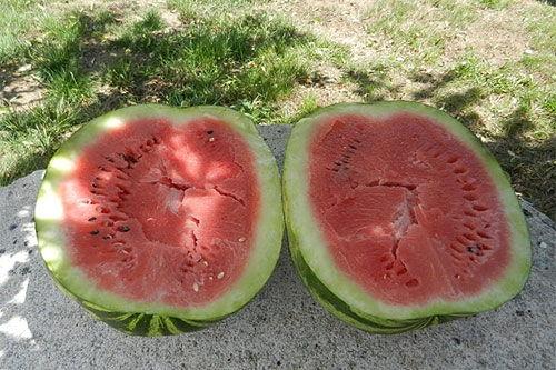 孕妇梦到买瓜吃瓜,瓜果飘香，孕育甜蜜期待