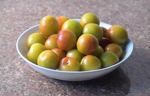 喝过酒吃酥瓜还是吃李子,酒后食酥瓜与李子的口感对比