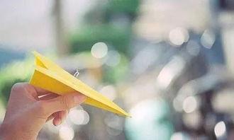 纸飞机吃瓜频道推荐,盘点夏日必看热门影视作品