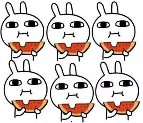 解决吃瓜问题,轻松享受夏日清凉