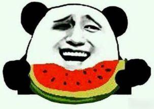 吃瓜东东,一场全民参与的趣味盛宴