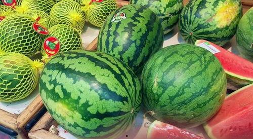 愉悦吃瓜,跟随愉悦吃瓜，品味生活百态