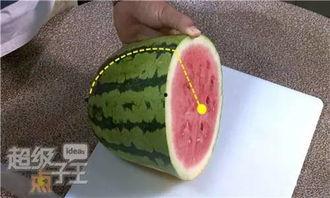 边磕边吃瓜,一场别开生面的休闲盛宴