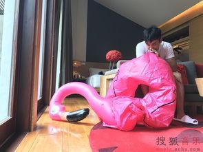 玄子吃瓜,揭秘娱乐圈幕后故事