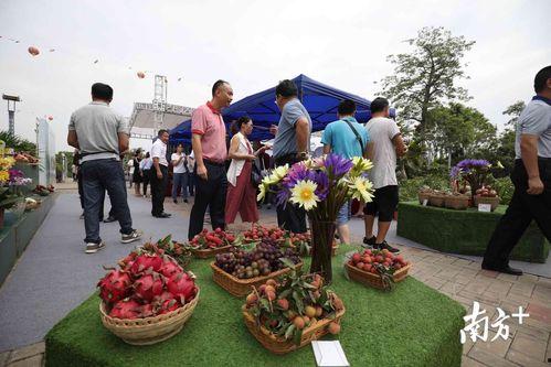 商丘吃瓜群众地点,揭秘当地街头美食风云录