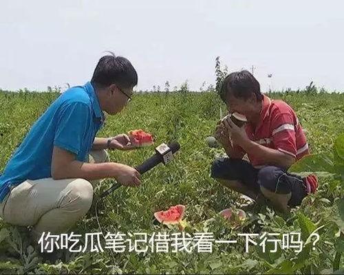 吃瓜吃到了啥,你吃到了什么？